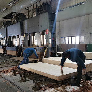 Chất lượng cao thương mại Poplar Veneer bảng thiết kế hiện đại phong cách E1 formaldehyde tiêu chuẩn khí thải giá tốt - Product Image 6