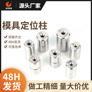 Colonne de positionnement de précision en acier inoxydable 304 HRC56-58 pour applications de moulage, modèle Guide Paysage Magnifique - Product Image 4