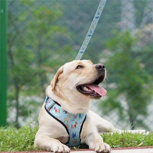 Arnés de Perro de Diseño Sólido y Moderno, Sin Tirones, con Dispensador de Bolsas para Excrementos, Collar Ajustable, Material de Fibra de Poliéster Anti-Asfixia - Product Image 4