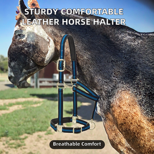 Cabestro de Nailon Resistente y Práctico para Caballos, PRODUCTOS DE CALIDAD para Trabajo Agrícola y Entrenamiento, Diseño Transpirable, Cómodo y de Alta Calidad - Product Image 2