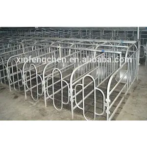 heavy duty pig farming equipment sow gestation stall