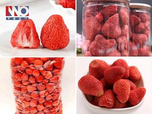 Système intégré de tunnel de pré-congélation de fraises de qualité industrielle à haute capacité, machine de lyophilisation sous vide - Product Image 2