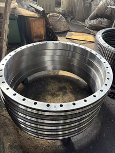 <span class=keywords><strong>Bearing</strong></span> Slewing Kustom Pabrik untuk Gear Luar Crane dan <span class=keywords><strong>Excavator</strong></span>, Ring Slewing untuk Bantalan Peralatan Pengangkat - Product Image 2