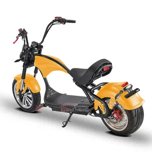 EEC COC Electrics citycoco motor 3000W e bicicleta plegable con asiento de carga ebike adulto dos ruedas 4000W citycoco