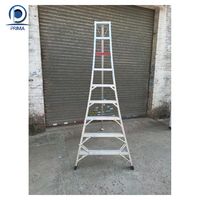 Échelle extensible Prima 8 mètres en aluminium