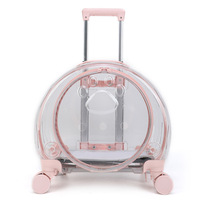 Petite valise de transport pour animaux de compagnie en PC, portable, pour extérieur, avec bandoulière pour les voyages