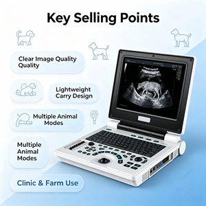Scanner à ultrasons noir et blanc pour ordinateur portable à double prise LCD de 12.1 "à bas prix avec <span class=keywords><strong>sonde</strong></span> convexe - Product Image 4