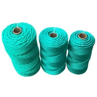 Offres Spéciales : Cordes de Pêche en Nylon Tressé à 3 Brins, Cordelette PE de 3 mm pour la Pêche et l'Emballage