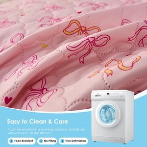 Fabricante <span class=keywords><strong>de</strong></span> Ropa <span class=keywords><strong>de</strong></span> Cama <span class=keywords><strong>de</strong></span> Marca Privada, Juego <span class=keywords><strong>de</strong></span> Edredón <span class=keywords><strong>de</strong></span> Microfibra Cepillada <span class=keywords><strong>de</strong></span> 80 g/m², Diseño Coquette, Impresión y Empaque Personalizados, Juego <span class=keywords><strong>de</strong></span> Edredón Acolchado - Product Image 1