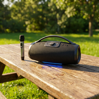 Microphone sans fil, haut-parleur karaoké portable, lecteur de chansons pour fêtes en plein air, système audio super puissant 100W, son de haute qualité