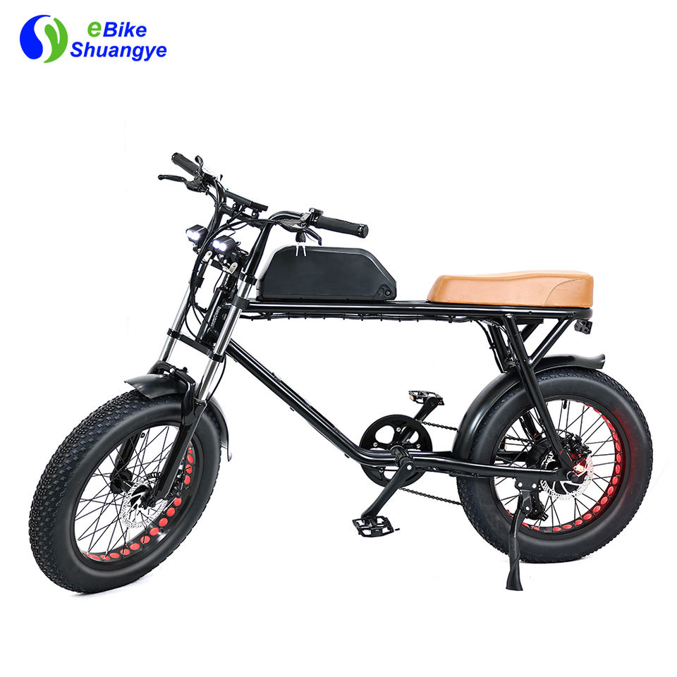 20 inch fat tire electric mountain dirt bike 48v 500w 750w bicycle - Electric Fat Bike - 1