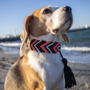 Kalung Anjing Kucing Martingale Mewah Custom <span class=keywords><strong>2026</strong></span> Gaya Baru 550 Warna-warni Paracord Pita Bergaya Lampu Pola Bergaris Tahan Lama - Product Image 1