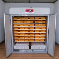 Incubateur Commercial Automatique pour 5000-50000 Œufs de Poule, Équipement d'Éclosion Avicole