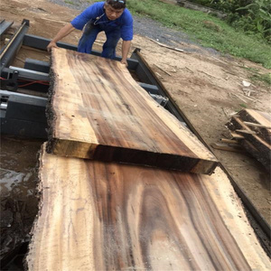 Aserradero de Banda Horizontal de 60 Pulgadas, Portátil, Industrial, con Motor Diésel y Remolque, Automático - Product Image 6