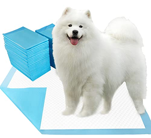 Almohadillas Absorbentes a Prueba de Fugas para Orina de Mascotas, Desechables, Suaves, para Entrenamiento de Cachorros - Product Image 1