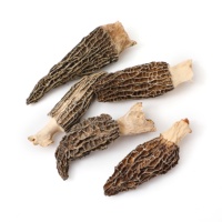 Morilles séchées biologiques de qualité supérieure cultivées en ferme, vente en gros d'usine