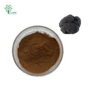 Poudre d'extrait de truffe noire Poudre de truffe périgourdine 30% polysaccharides - Product Image 3