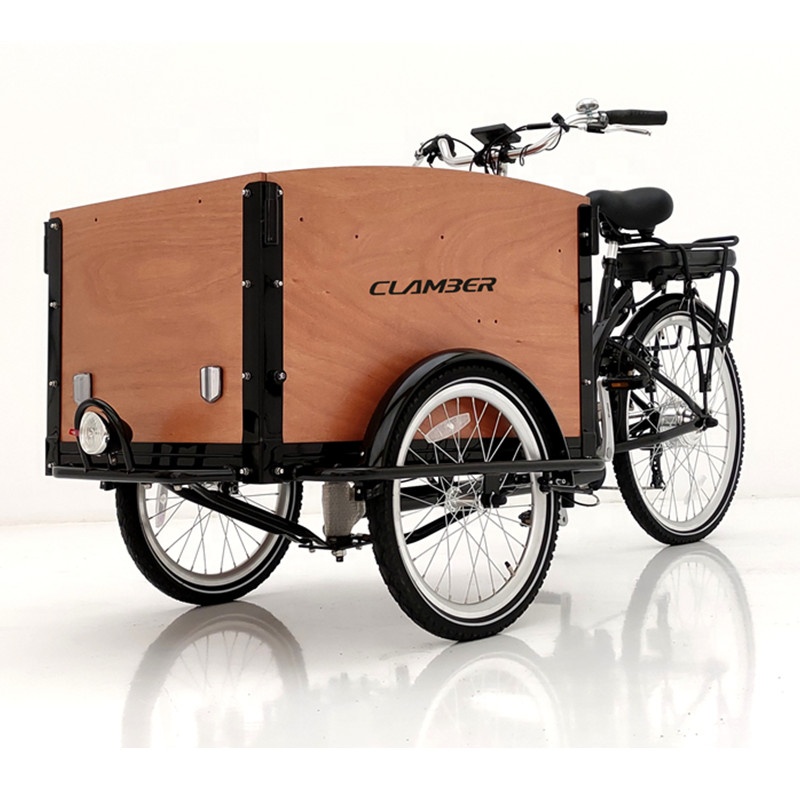 Triporteur Cargo Bikes Durable, Electric, and Versatile