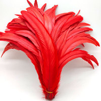 Plumes de coq naturelles et teintes en gros, 30-35 cm, en vrac, blanchies, pour décoration de carnaval, Plumas De Gallos