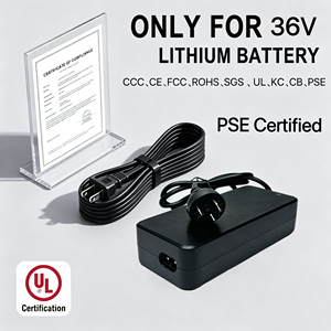Maßgefertigtes 42V 2A E-Bike-Ladegerät für Bosch Performance und Active Line (CE UL Zertifiziert) - Product Image 6