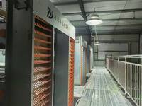 Nouvelle cage à poules automatique robuste pour la collecte des œufs, haute efficacité, en acier galvanisé, pour élevages avicoles à grande échelle