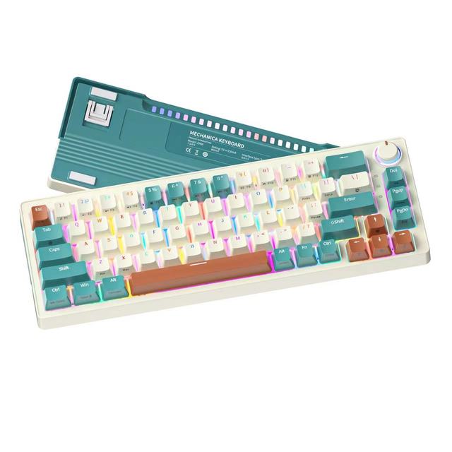 Green RGB 60% Switch Gaming Mechanical Keyboard 68 Keys USB Mini with 2.4G Customized Box Hot Swappable & Anti-Ghosting