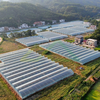 Grote enkellaagse multi-span PE polyfolie kasconstructie voor de productie van hoogproductieve groenten en bessen