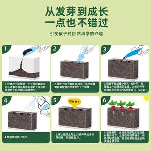 Kit d'expériences scientifiques, fenêtre d'observation des racines des plantes, jouet éducatif DIY pour enfants de 8 à 13 ans, matériau plastique - Product Image 4