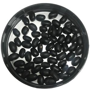 Haricot noir de haute qualité Black Turtle Bean Black <span class=keywords><strong>Matpe</strong></span> Bean Prix - Product Image 1