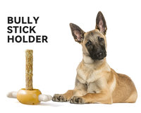 Nouveaux accessoires pour animaux de compagnie chien porte-friandises jambe de poulet Bully support de bâton interactif chien ToySlow Feeder mâcher chien dispositif de sécurité