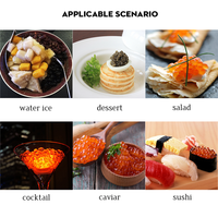 Fabricant de caviar en acier inoxydable 96 trous avec tube et cuillère, design minimaliste écologique pour la cuisine moléculaire