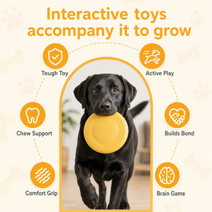 Interactive Pet Training Chew Teeth Toy Durable Elastic EVA Floating Balls Soft Rubber Dog Teeth Grinding Toys <b>Rope</b> Box Packed - Product Image 5