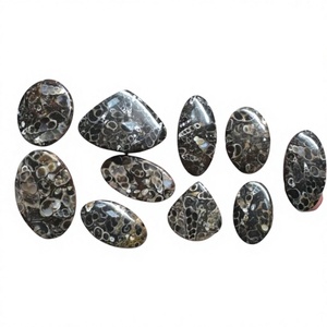 Tutela naturel Jasper Cabochon de pierres précieuses en vrac poli mélange forme toutes tailles bijoux en cristal pendentif faisant des pierres précieuses FAIJAN GEMS - Product Image 1