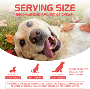 כבד כלבים וכבד & quot; & quot; אורגני & quot; & quot; & quot; אורגני & quot; & quot; כלב מבוגר תחזוקה יומי לועס - Product Image 5