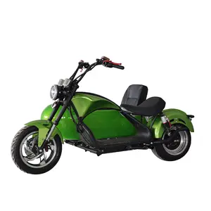 Sıcak satış 1200w yan scooter kargo yolcu üç tekerlekli motosiklet 2 adultes ucuz elektrikli üç tekerlekli bisiklet