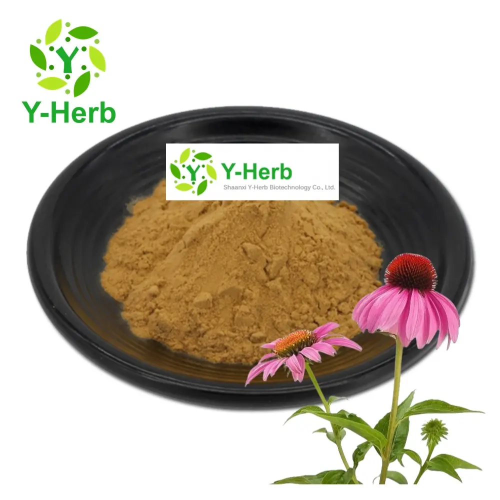 Echinacea Angustifolia Extract Powder Organic 4% Echinacea Purpurea Root/Leaf/Flower Extract