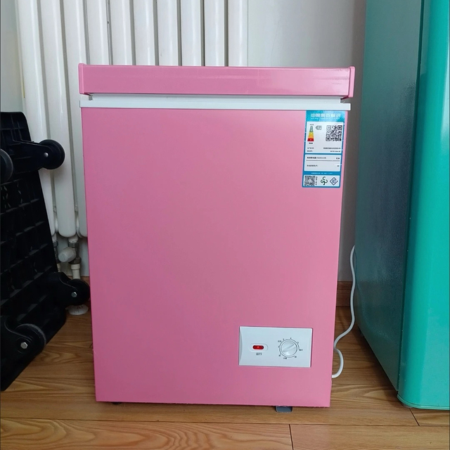 D 60L  Refrigerator Fridges for Home Fridge Geladeira Freezer Mini Cooler Neveras Frigo Ice Cream Freezer Fridge Portable