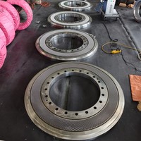 Matrice plate OEM Amandus Kahl 45-1250 pour moulin à granulés de bois |   Pièces détachées de qualité supérieure pour machine à granulés en acier inoxydable