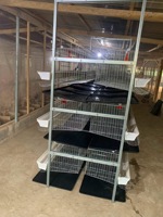 Nouveau système complet d'équipement avicole pour ferme d'élevage de 25000 poules pondeuses, cage automatique à 4 niveaux de type H, HAOKAI METAL