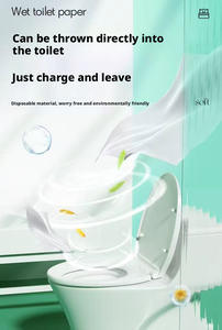 Toallitas Húmedas No Tejidas para la Limpieza Íntima Femenina, Sin Enjuague, Refrescantes, Venta Directa de Fábrica - Product Image 3