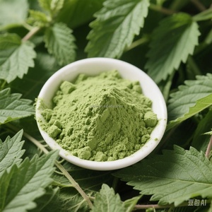 Poudre <span class=keywords><strong>d</strong></span>'<span class=keywords><strong>extrait</strong></span> de feuilles <span class=keywords><strong>d</strong></span>'<span class=keywords><strong>ortie</strong></span> organique à base de plantes naturelles 10:1 - Product Image 2