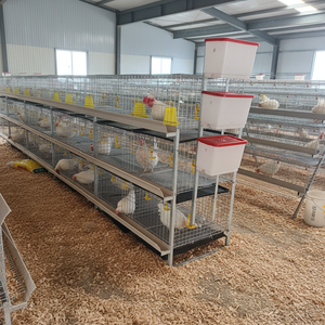 GREAT FARM Gabbia Commerciale per Polli da Carne a 3 Livelli, 6 Porte, Resistente, Zincata a Freddo, Attrezzatura Avicola per 54-60 Polli - Product Image 3