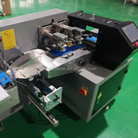 Machine d'emballage de chicha, machine d'emballage de tabac à la mélasse en sachets, machine d'emballage de chicha en boîte, machine d'emballage de type oreiller