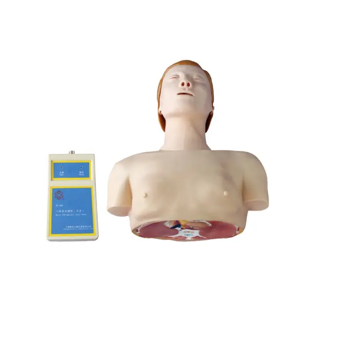 Temel CPR modeli mankeni yarım vücut hastane tıbbi eğitim yarım vücut CPR eğitim mankeni ekipmanları