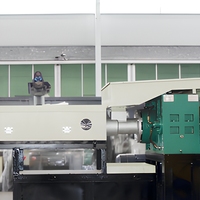Granulateur industriel de plastique, machine d'extrusion de recyclage, équipement de granulation à vis pour le traitement des polymères