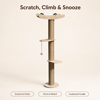 Arbre à chat multi-niveaux du sol au plafond, tour à chat multifonctionnelle de luxe en bois massif, en stock, livraison rapide