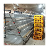 Équipement d'élevage avicole de haute qualité, système d'alimentation automatique, type cage à poulets à batterie, utilisé pour la production d'œufs.