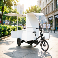 Tricycle Électrique à Trois Roues avec Pneus Larges pour Adultes, Nouveau Tricycle de Transport à Cabine, Moto à 3 Roues, Vélo Cargo à Charge Lourde avec Boîte