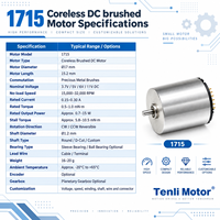 Moteur CC sans balais Tenli 1715 Micro Coreless 17mm, axe personnalisé, tension et vitesse réglables, enroulement 3.7V-11V 32000RPM, usine OEM