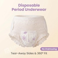 Großhandel Einweg-Atmungsaktive Menstruationshöschen 3D-Auslaufschutz Biologisch Abbaubare Stoffähnliche Rückseite Japan SAP Nacht Schwerer Fluss